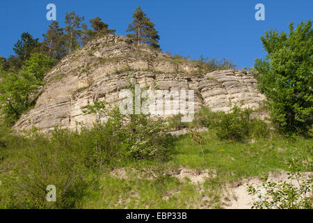 Muschelkalk rock, Germania, Thueringen, Naturschutzgebiet Jonastal Foto Stock