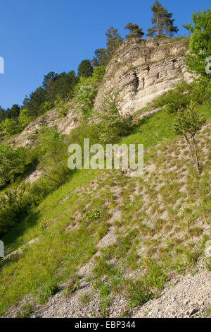 Muschelkalk rock, Germania, Thueringen, Naturschutzgebiet Jonastal Foto Stock