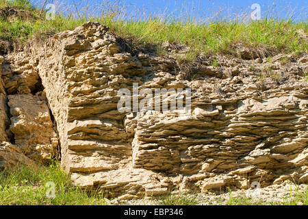 Prato su Muschelkalk, Germania, Thueringen, Naturschutzgebiet Jonastal Foto Stock