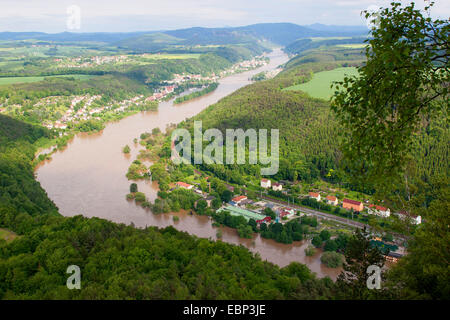 Elba alluvione in estate 2013, Germania, Sassonia Foto Stock