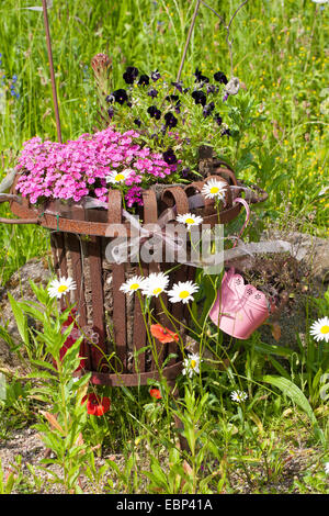 Piantate basket fuoco, Germania Foto Stock