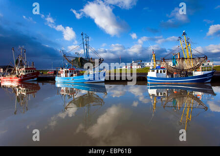 Frese di pesca nel porto, Germania, Bassa Sassonia, Vogtlaendische Schweiz, Dorum-Neufeld Foto Stock