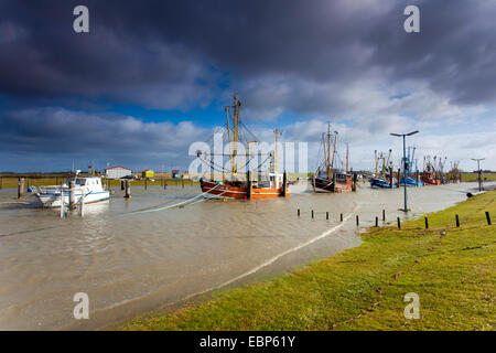 Fila di coltelli di pesca nel porto, Germania, Bassa Sassonia, Dorum-Neufeld Foto Stock