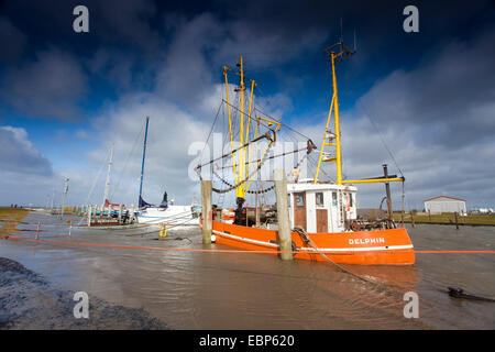 Frese di pesca e yacht nel porto, Germania, Bassa Sassonia, Dorum-Neufeld Foto Stock