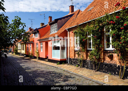 Vicolo pittoresco, Danimarca, Bornholm Roenne Foto Stock