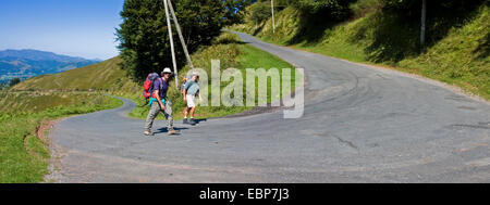 Due pellegrini sul sentiero dei pellegrini nei Pirenei, strada tra zwischen San Jean Pied de Port nach Roncisvalle, NON DISPONIBILE PER L'uso nella pubblicità, Francia, PyrÚnnÚes-Atlantiques, Paese Basco, Basse Navarra Foto Stock