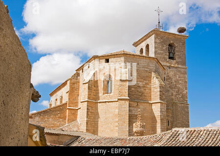 Cicogna bianca (Ciconia ciconia), chiesa con stork's Nest, Spagna, Castiglia e Leon, Palencia, Boadilla del Camino Foto Stock