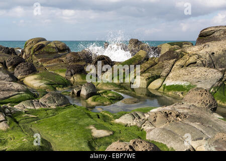 Onde che si infrangono sulle rocce ricoperte di alghe verdi sulla riva Foto Stock