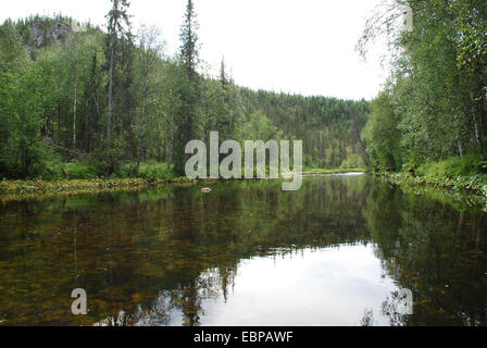 Rocce sul fiume Big Sarjuga. Foresta vergine di Komi, taiga nella cresta Chernyshov. Foto Stock