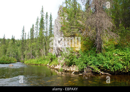 Rocce sul fiume Big Sarjuga. Foresta vergine di Komi, taiga nella cresta Chernyshov. Foto Stock