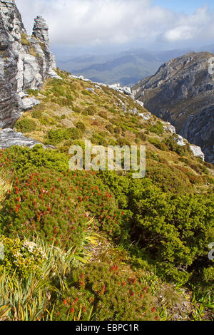 Vista dalle pendici del cappuccio Frenchmans, uno dei più imponenti montagne in Tasmania South West deserto Foto Stock