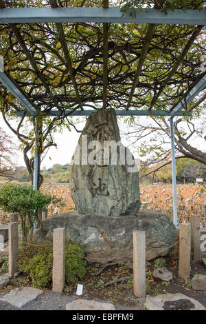 Monumennto di Shonobazunoike,Shinobazu Bentendo temple,il Parco Ueno,Taito-Ku,Tokyo Giappone Foto Stock