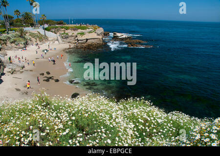 La Jolla Cove, Ellen Browning Scripps Marine Park, La Jolla, California Foto Stock