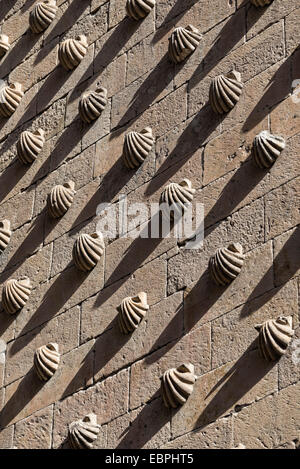 SALAMANCA, Spagna - 21 novembre 2014: Dettaglio della facciata della Casa de las Conchas (casa di conchiglie) Foto Stock