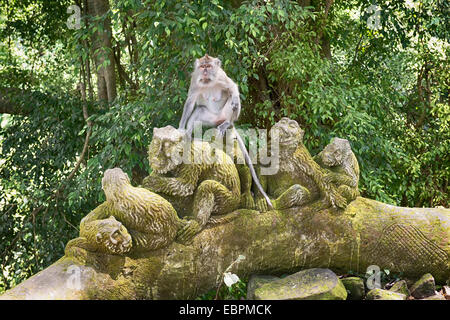 La sacra Foresta delle Scimmie, Ubud, Bali, Indonesia, Asia sud-orientale, Asia Foto Stock