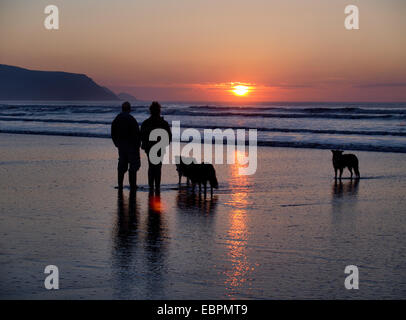 Giovane con cani a guardare il tramonto sul mare, Widemouth Bay, Bude, Cornwall, Regno Unito Foto Stock