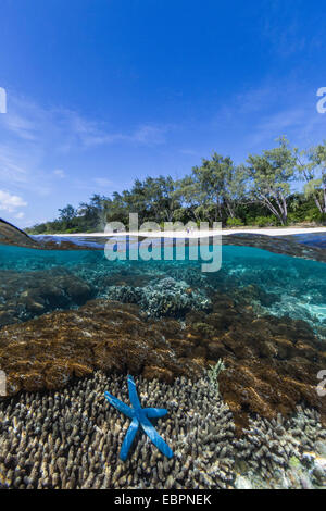 Al di sopra e al di sotto di vista della barriera corallina e la spiaggia sabbiosa di Jaco isola, mare di Timor, Timor orientale, Asia sud-orientale, Asia Foto Stock