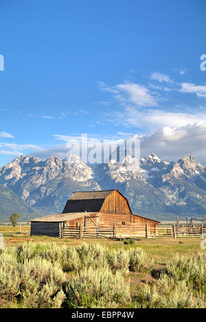 John Moulton Homestead, granaio risalente al 1890, fila Mormone, Grand Teton National Park, Wyoming, Stati Uniti d'America Foto Stock