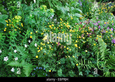 "100 anni di Hidcote Manor', Chris Beardshaw Visualizza giardino, RHS Chelsea Flower Show 2007, London, Regno Unito Foto Stock