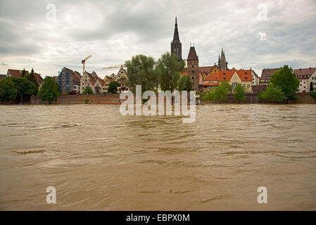 Alluvione del fiume Danubio a Ulm in Germania Baden-Wuerttemberg, Ulm Foto Stock