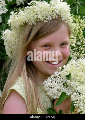 Nero europeo sambuco, Sambuco, Comune di sambuco (Sambucus nigra), ragazza con elderflowers coronale, Germania Foto Stock