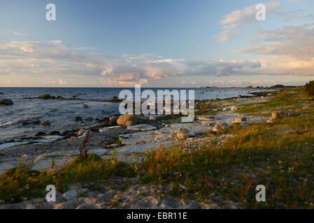 Riva di Oeland nella luce della sera, Svezia, Oeland Foto Stock