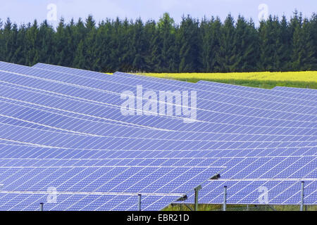 Centrale solare, in Germania, in Baviera, Niederbayern, Bassa Baviera Foto Stock