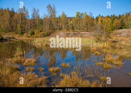 Stagno in ex miniera Littfeld area, in Germania, in Renania settentrionale-Vestfalia, Littfeld Foto Stock