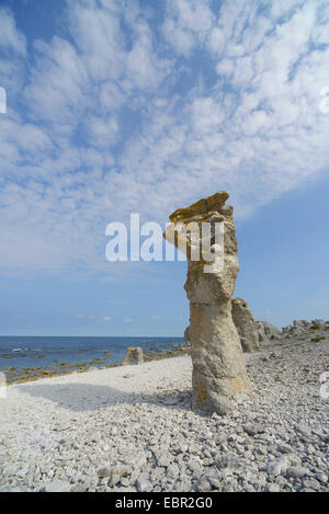 Raukar, seastacks di Langhammars, Svezia, Gotland, Faroe Foto Stock