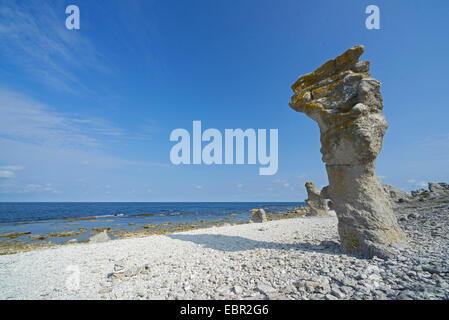 Raukar, seastacks di Langhammars, Svezia, Gotland, Faroe Foto Stock