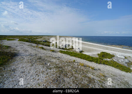 Spiaggia di ghiaia Langhammars su Faeroeer, Svezia, Langhammars , Gotland Foto Stock