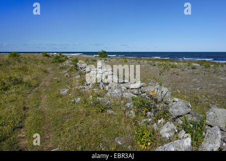 Antico in pietra a secco parete vicino alla spiaggia di Hoburgen su Gotland Svezia, Hoburgen, Gotland Foto Stock