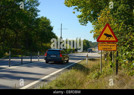 Elk, alci europea (Alces alces alces), segno di avvertimento di elks accanto a una strada in Svezia Svezia, SmÕland Foto Stock