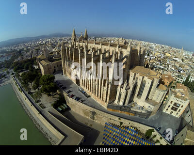 Vista aerea di La Seu Cathedral, Spagna, Balearen, Mallorca, Palma de Mallorca Foto Stock