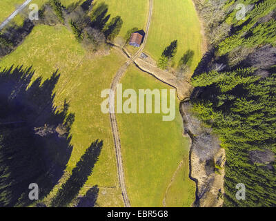 Vista aerea di viale alberato di prato con percorso e capanna in primavera, in Germania, in Baviera Foto Stock