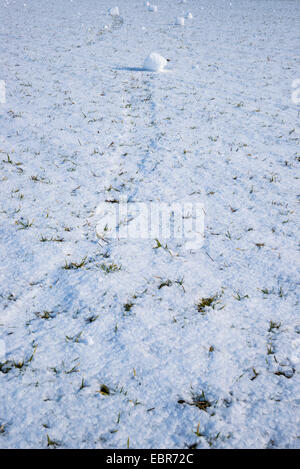 Rullo di neve in una coperta di neve prato, GERMANIA Baden-Wuerttemberg, Svevo Foto Stock