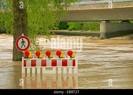 Alluvione del fiume Iller, affluente del fiume Danubio, GERMANIA Baden-Wuerttemberg, Ulm Foto Stock