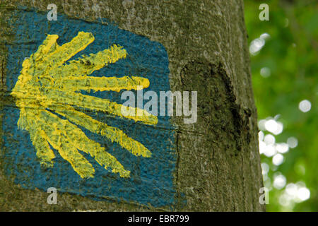 Il St James shell, un simbolo del percorso del pellegrinaggio a un tronco di albero, Via di San Giacomo, in Germania, in Renania settentrionale-Vestfalia, la zona della Ruhr, Herdecke Foto Stock