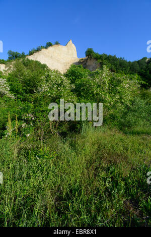 Piramidi di arenaria di Melnik, Bulgaria, Melnik Foto Stock