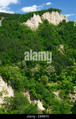 Piramidi di arenaria di Melnik, Bulgaria, Melnik Foto Stock