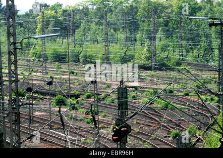 Via sistema di Essen stazione centrale (EE) con vecchi brani di freight yard (Gbf), in Germania, in Renania settentrionale-Vestfalia, la zona della Ruhr, Essen Foto Stock