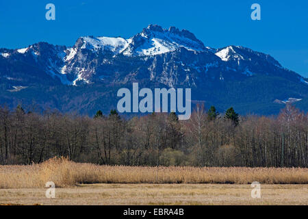 Vista sulla Grabenstaett mooreland il Kampenwand, in Germania, in Baviera, Chiemgau Foto Stock