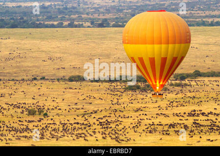 Palloncino a Safari Masai Mara al mattino, Kenia Masai Mara National Park Foto Stock