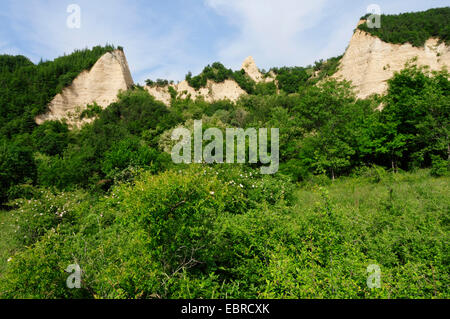 Piramidi di arenaria di Melnik, Bulgaria, Pirin-Gebirge, Melnik Foto Stock