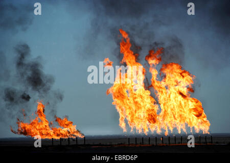 Bruciare gas naturale, Iraq, Rumaila Foto Stock