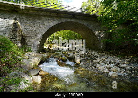 Il ponte di pietra presso Cascades de Anglais, Francia, Corsica, Monte dAEOro Foto Stock