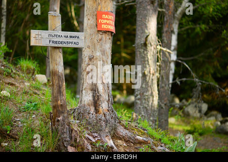Cartello in legno Friedenspfad presso il bulgaro Rhodpes, Bulgaria, montagne Rodopi Foto Stock