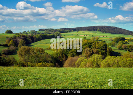 Il paesaggio nei pressi di Diemelsee in primavera, Hesse, Germania, Hesse, Hessisches Bergland Foto Stock