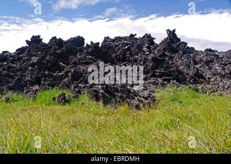 Lava di Leirhnjukur vulcano Islanda Foto Stock