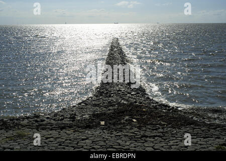 Spur dike in luce posteriore in acqua alta, Germania, Bassa Sassonia, Bassa Sassonia il Wadden Sea National Park, Dorum-Neufeld Foto Stock